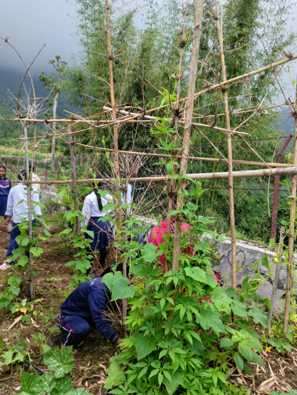 शिक्षामा सीप कार्यक्रमका झलकहरू  